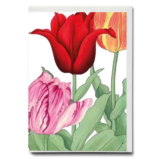 Tulips By Tanigami Kônan - Wenskaart