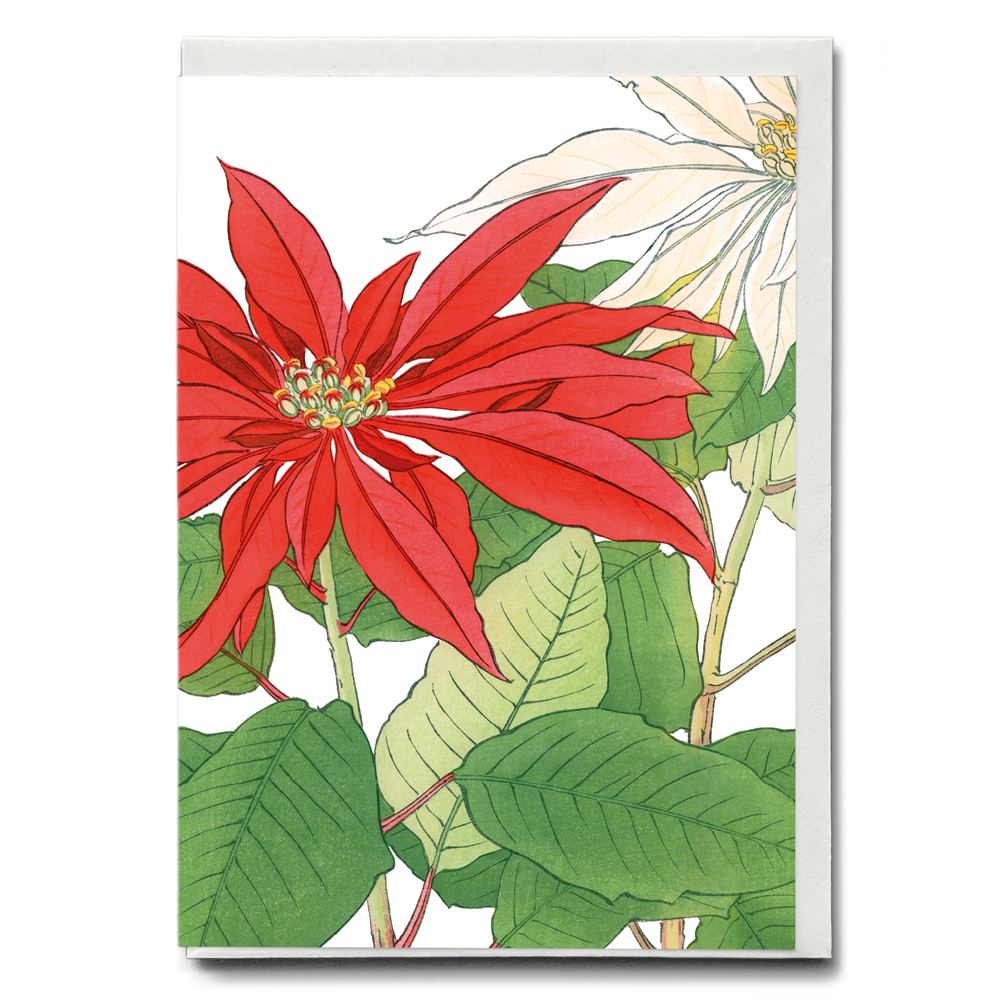 Poinsettia By Tanigami Kônan - Wenskaart
