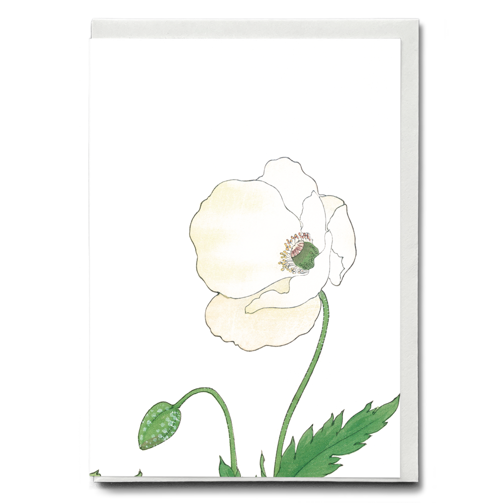 White Poppie By Tanigami Kônan - Wenskaart