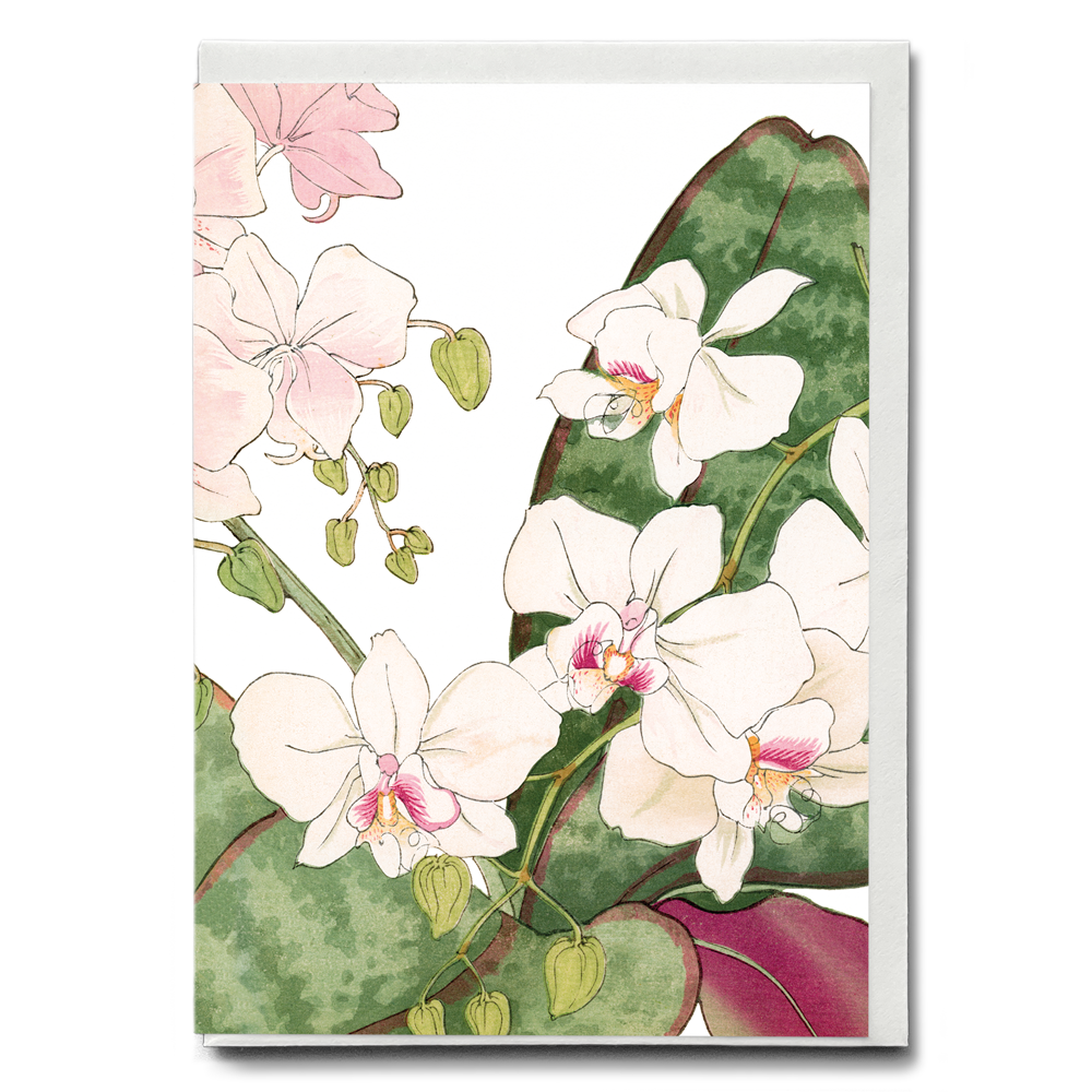 Orchids flower By Tanigami Kônan - Wenskaart