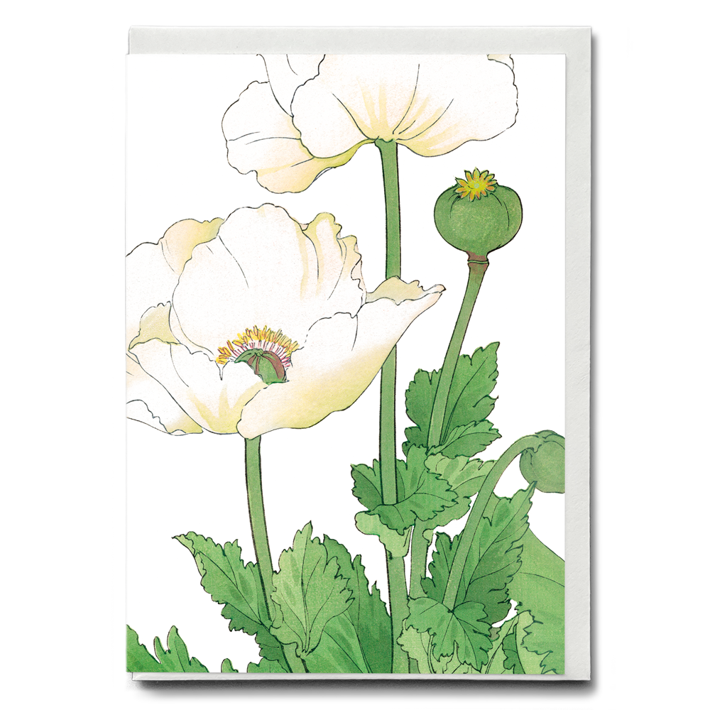 White Poppies By Tanigami Kônan - Wenskaart