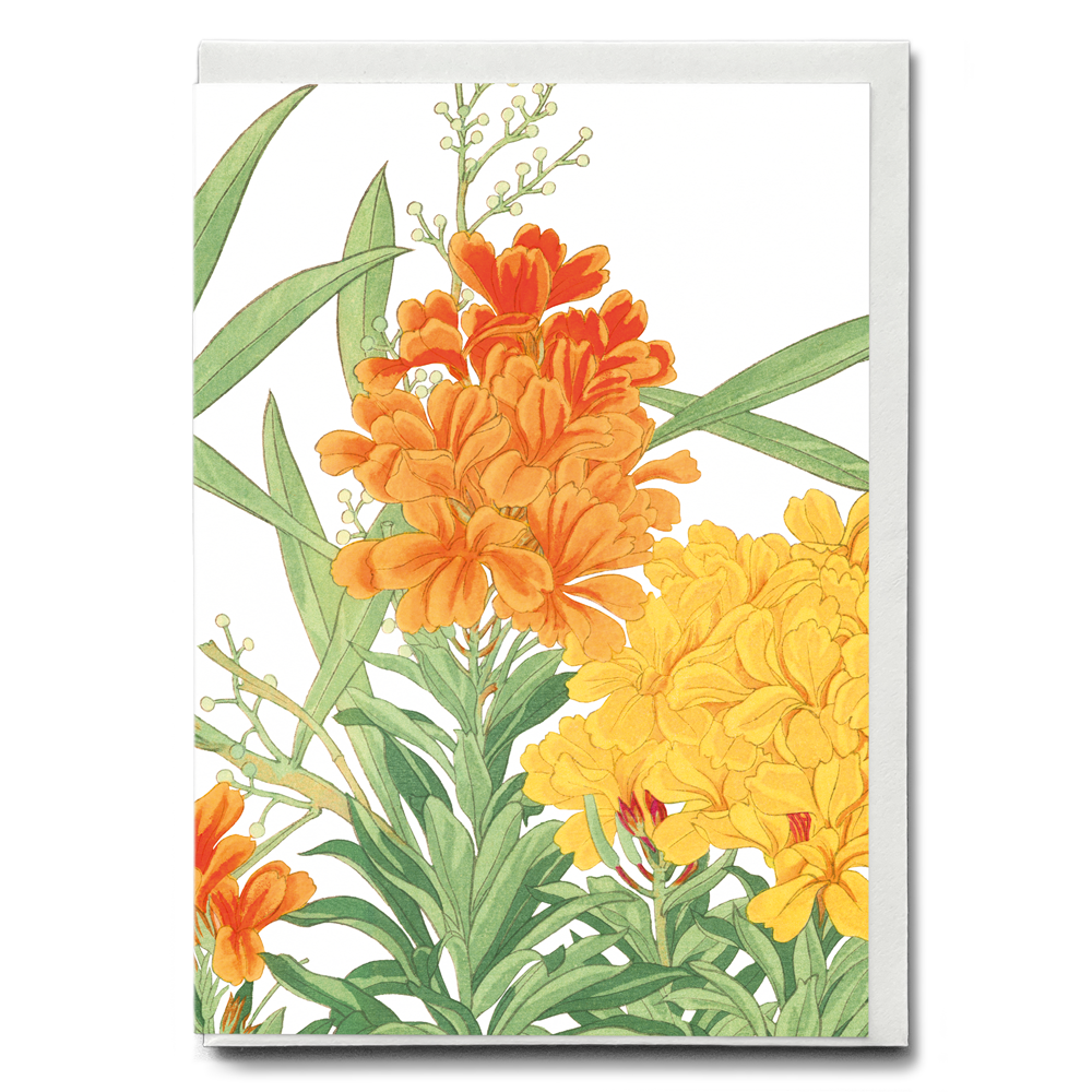 Wall Flower By Tanigami Kônan - Wenskaart
