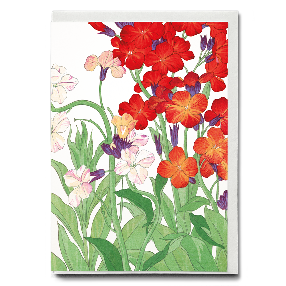 Wallflowers By Tanigami Kônan - Wenskaart