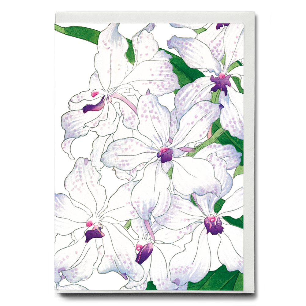 Orchid By Tanigami Kônan - Wenskaart