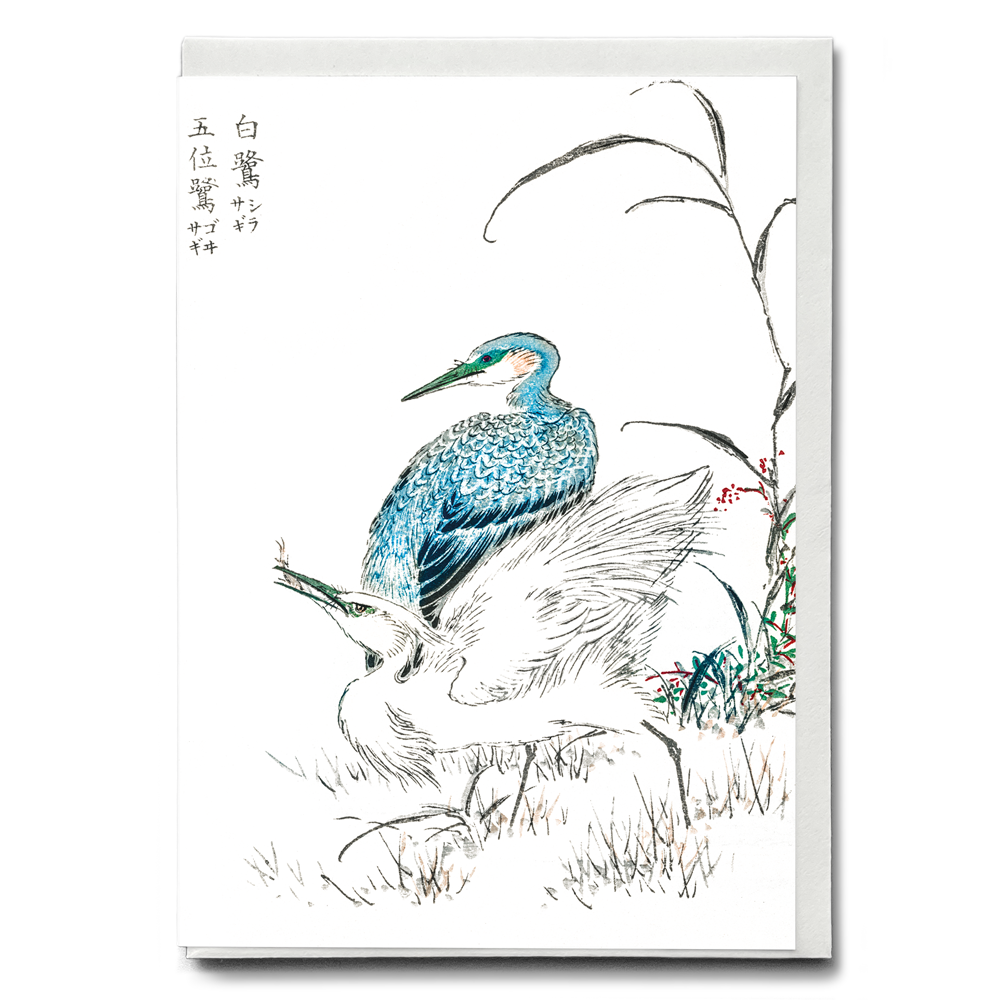 Night Heron and Little Egret By Numata Kashu - Greeting Card