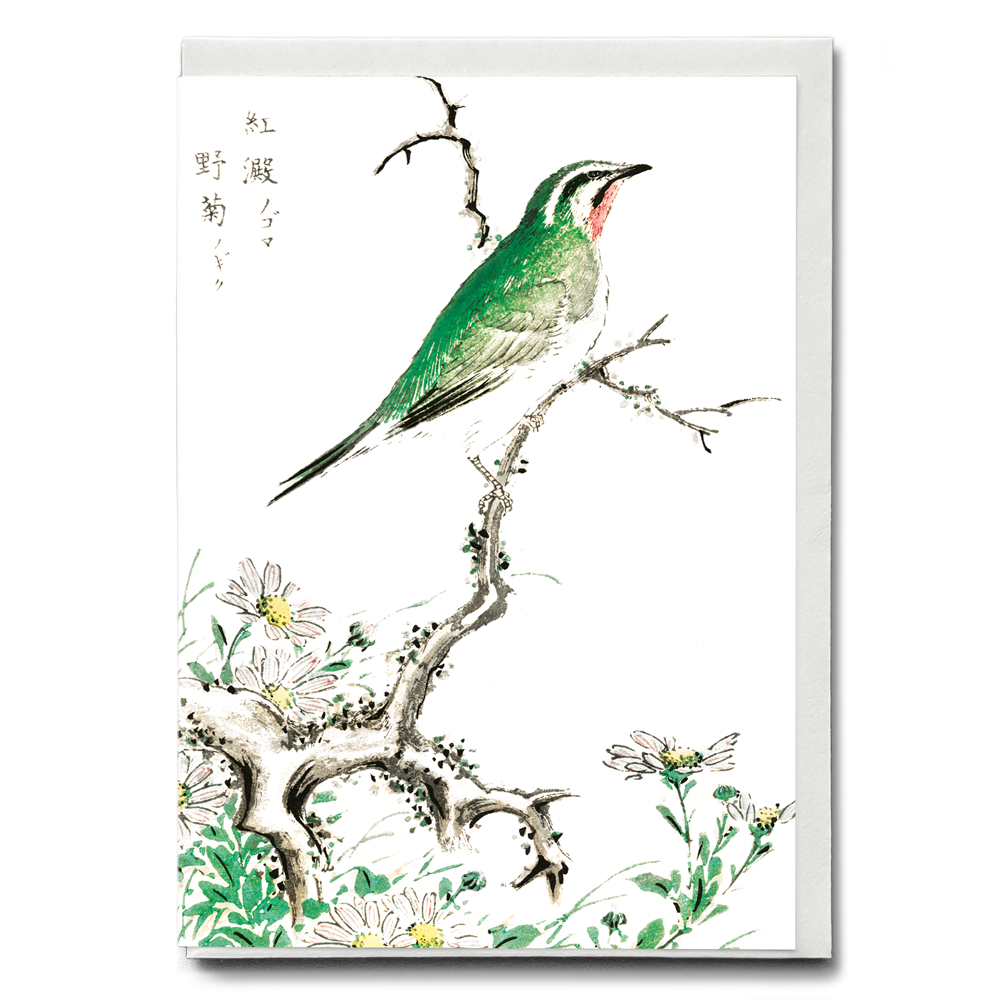 Ruby Throat and Wild Camomile By Numata Kashu - Greeting Card