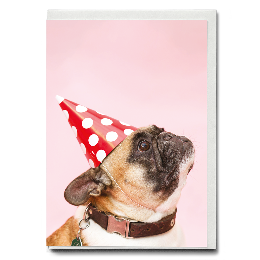 Frenchy with a party hat - Greeting Card