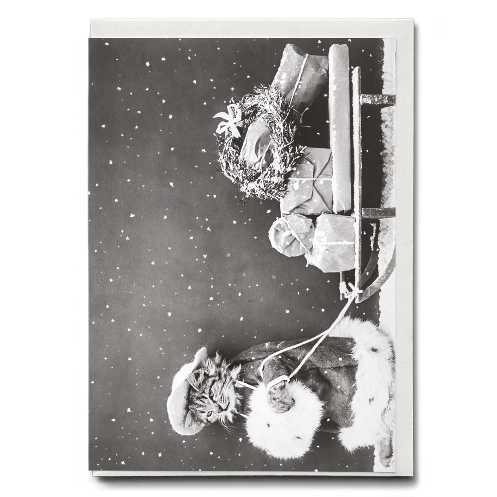 Santa Cat - Greeting Card