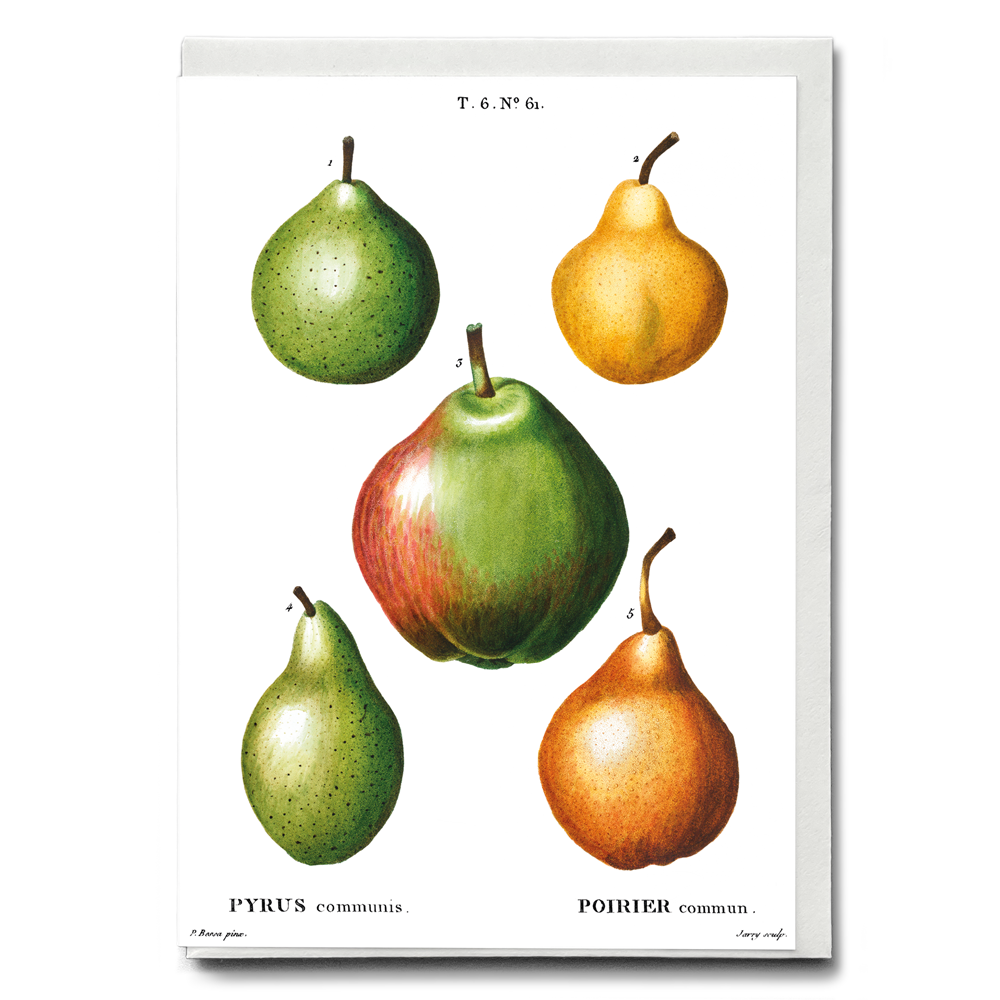 Pears By Pierre-Joseph Redouté - Wenskaart