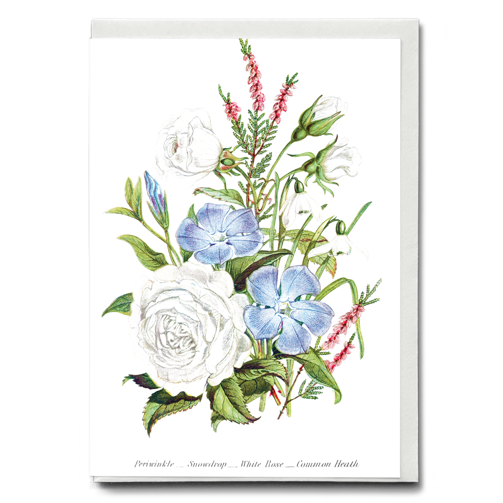 Periwinkle, Snowdrop, White Rose and Common Heath - Wenskaart