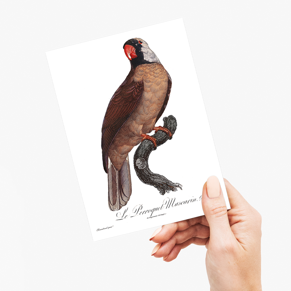 Mascarine Parrot - Wenskaart