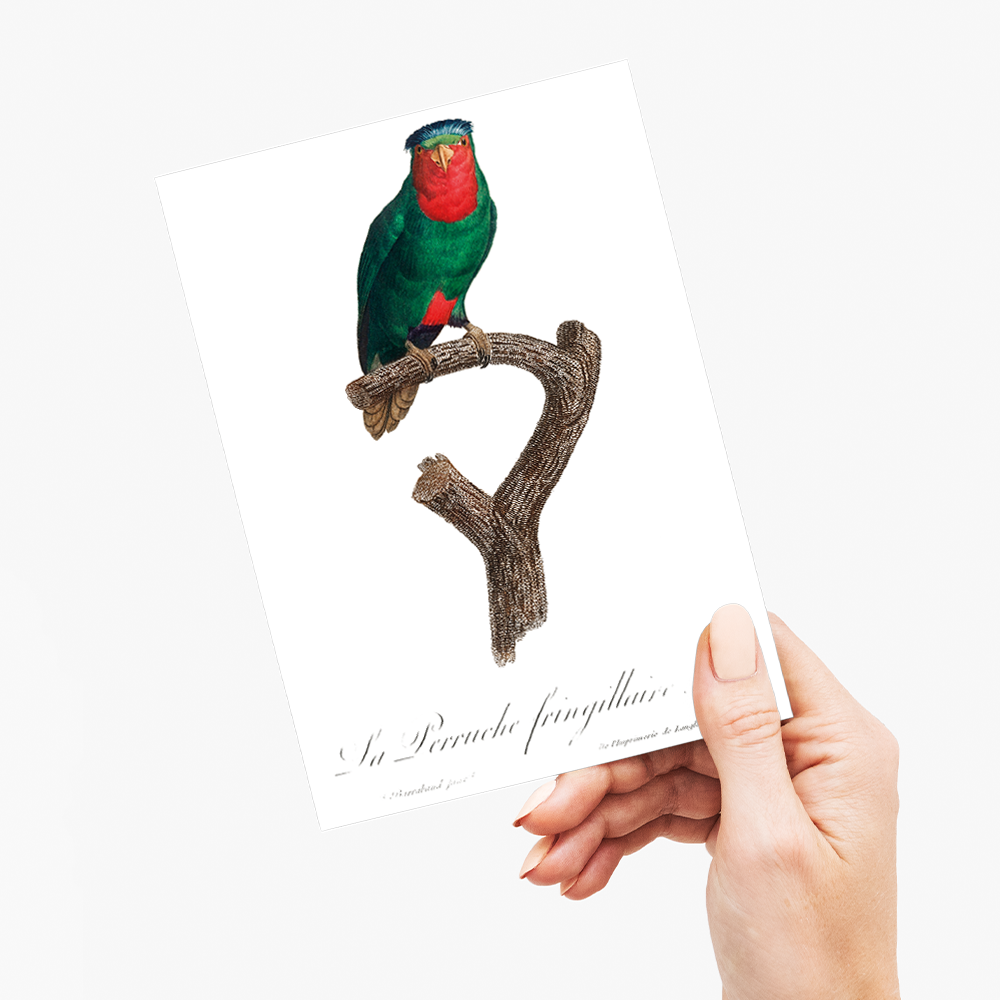 The blue-crowned lorikeet, Vini australis - Wenskaart
