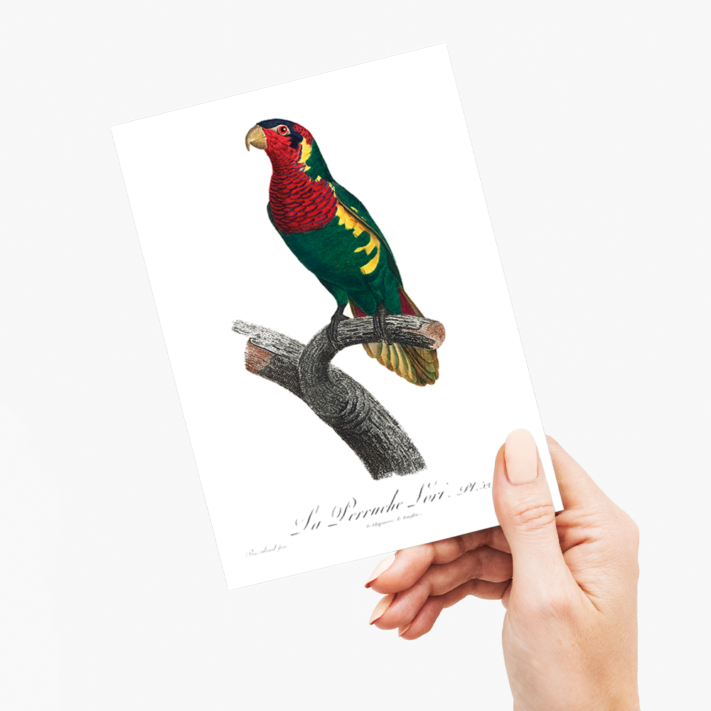 The Blue-Headed Lorikeet (Trichoglossus haematodus) - Wenskaart