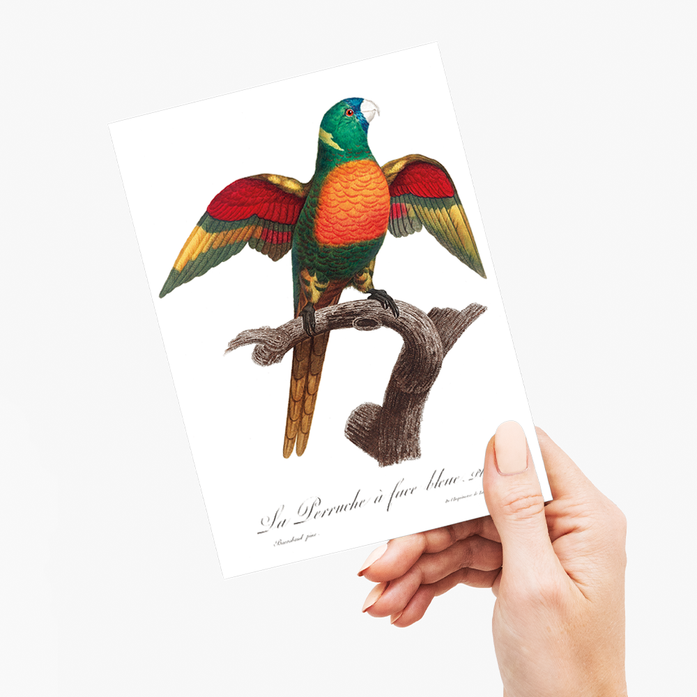 The Blue-Headed Parrot, Pionus menstruus - Wenskaart