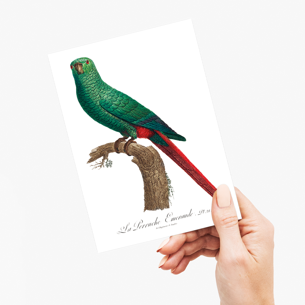 The Emerald Parakeet - Wenskaart