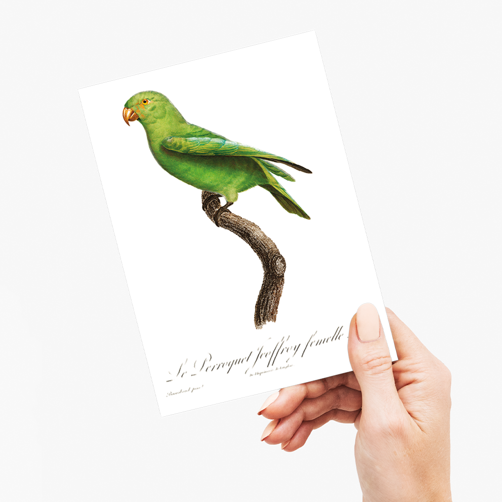 The Red-Cheeked Parrot, Geoffroyus geoffroyi, female - Wenskaart