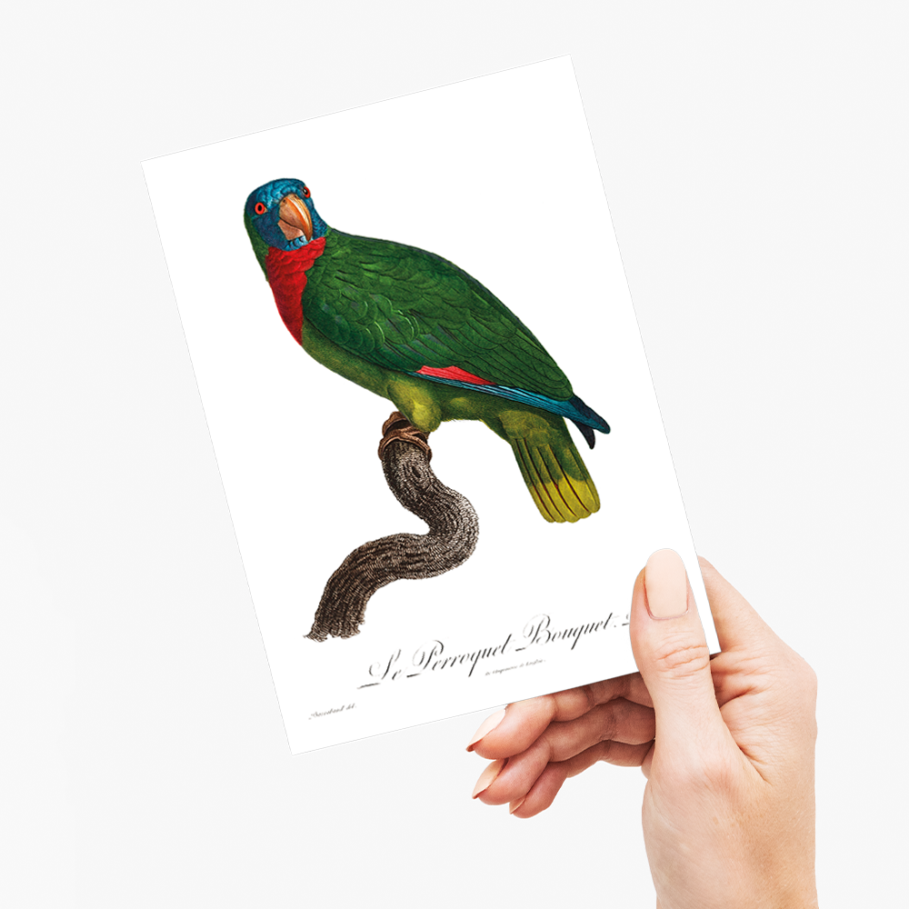 The Red-Necked Amazon, Amazona arausiaca - Wenskaart