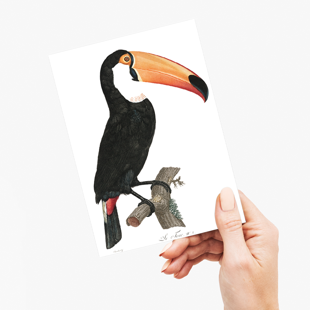 Toco toucan - Wenskaart