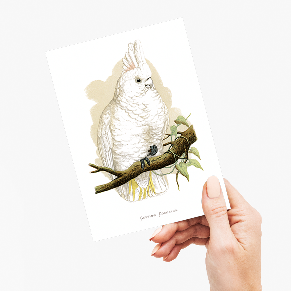 Goffin's Cockatoo - Wenskaart