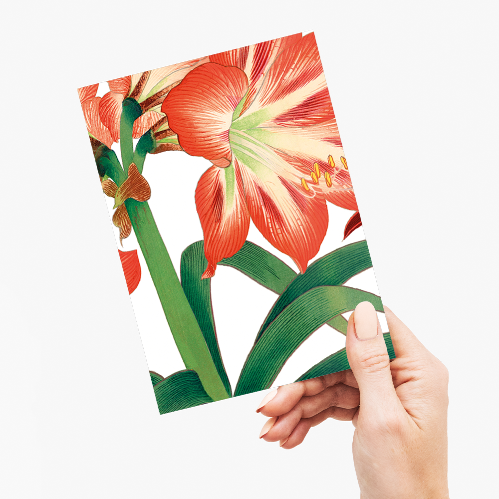 Amaryllis flower By Tanigami Kônan - Wenskaart