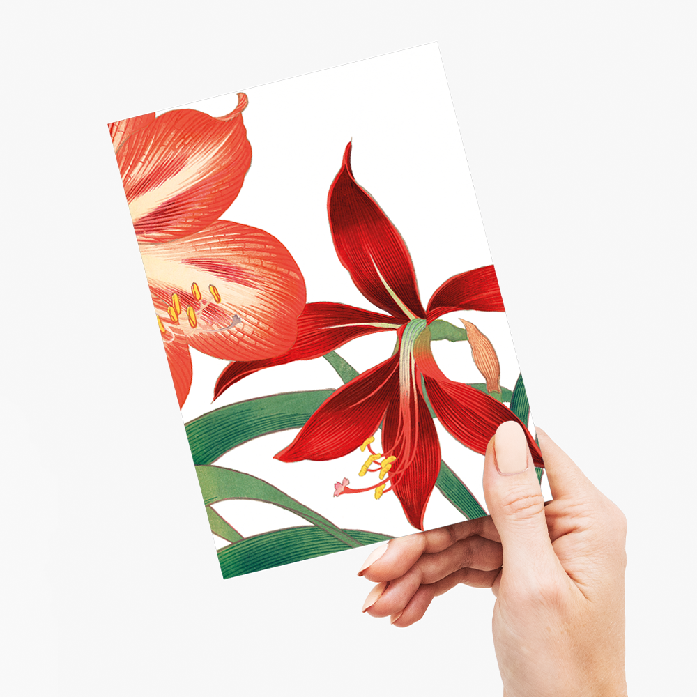Amaryllis By Tanigami Kônan - Wenskaart