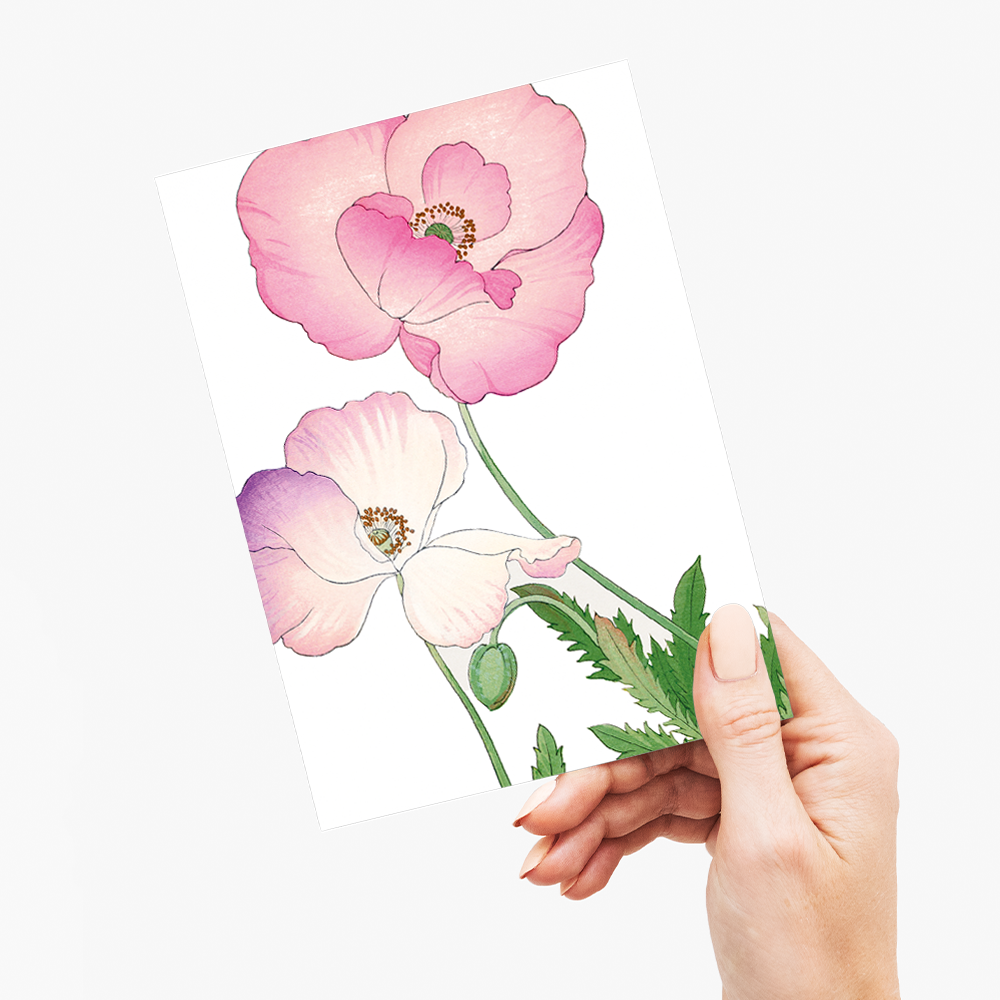 Pink Poppy By Tanigami Kônan - Wenskaart