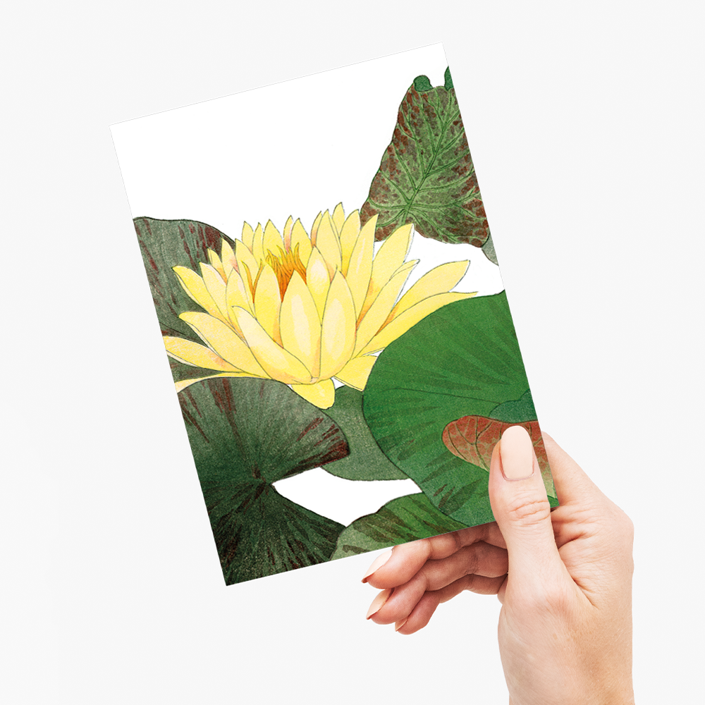 Nymphaea Lotus By Tanigami Kônan - Wenskaart