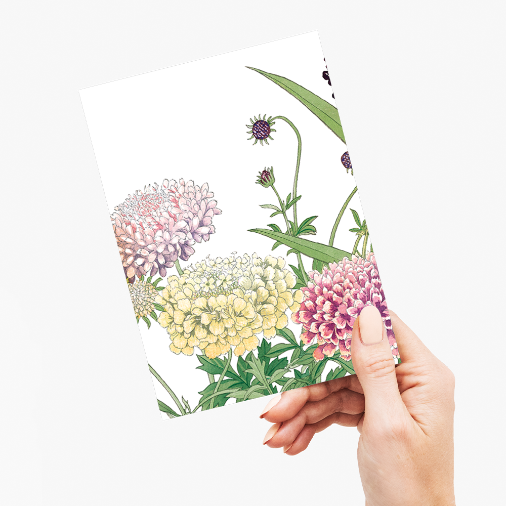 Scabiosa By Tanigami Kônan - Wenskaart
