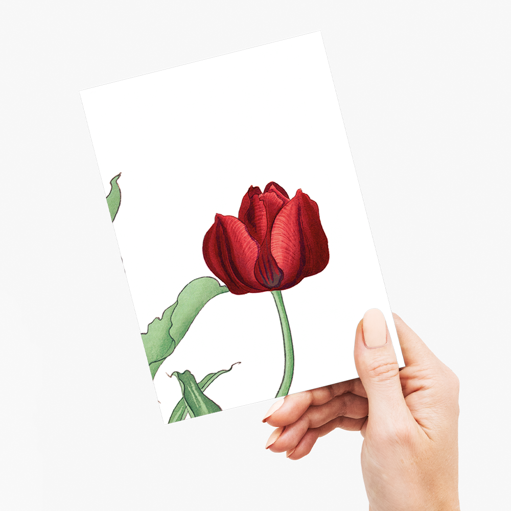 Red Tulip By Tanigami Kônan - Wenskaart