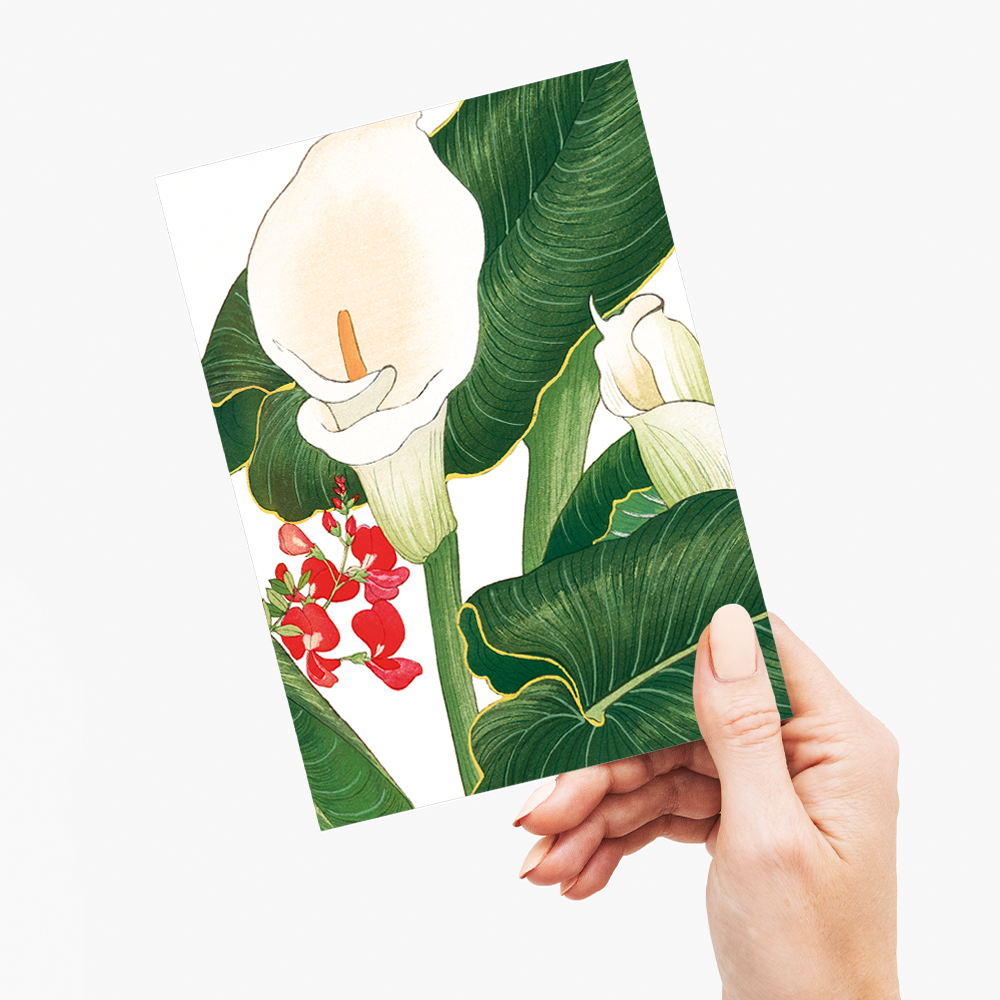 Calla Lily By Tanigami Kônan - Wenskaart