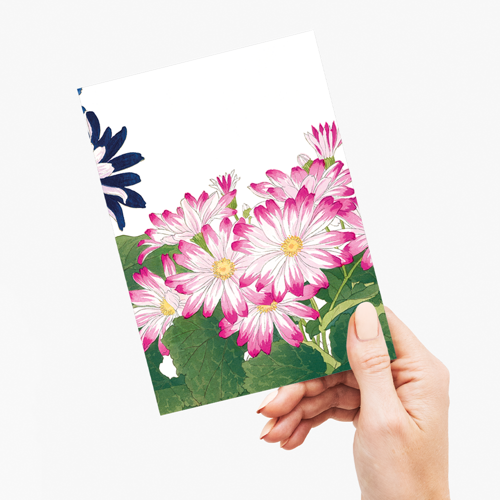 Pink Cineraria By Tanigami Kônan - Wenskaart