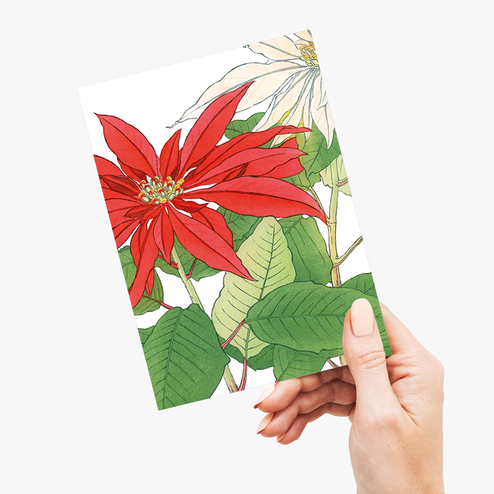 Poinsettia By Tanigami Kônan - Wenskaart