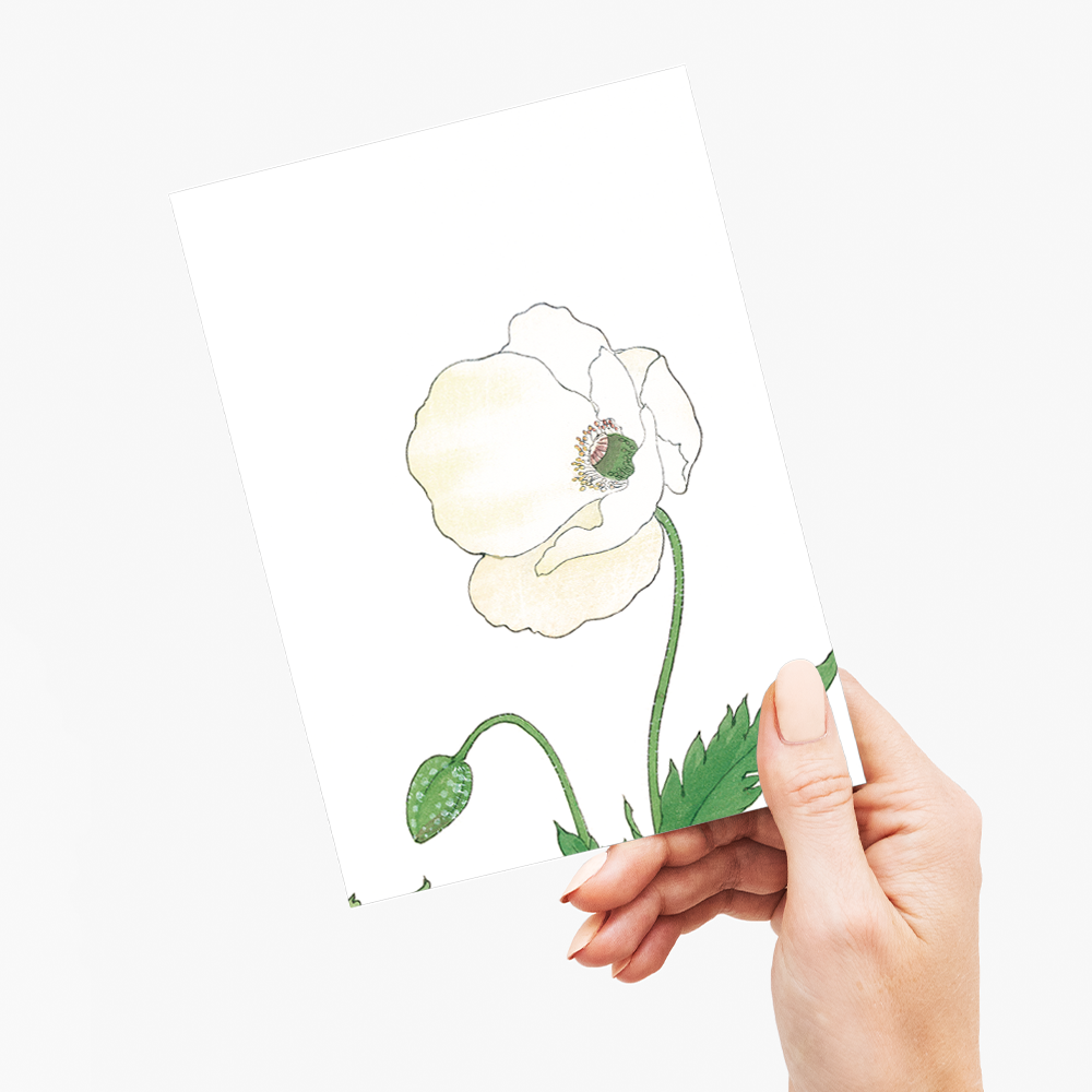 White Poppie By Tanigami Kônan - Wenskaart