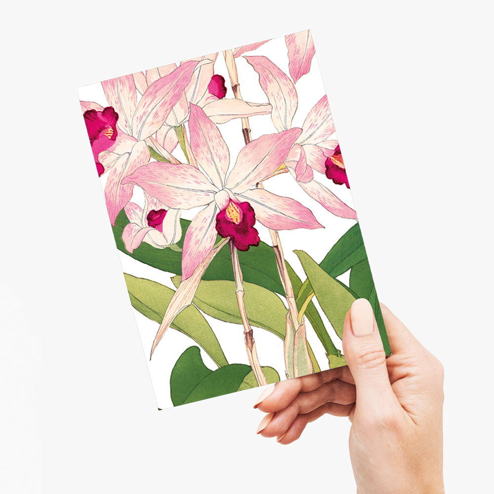 Orchid By Tanigami Kônan - Wenskaart
