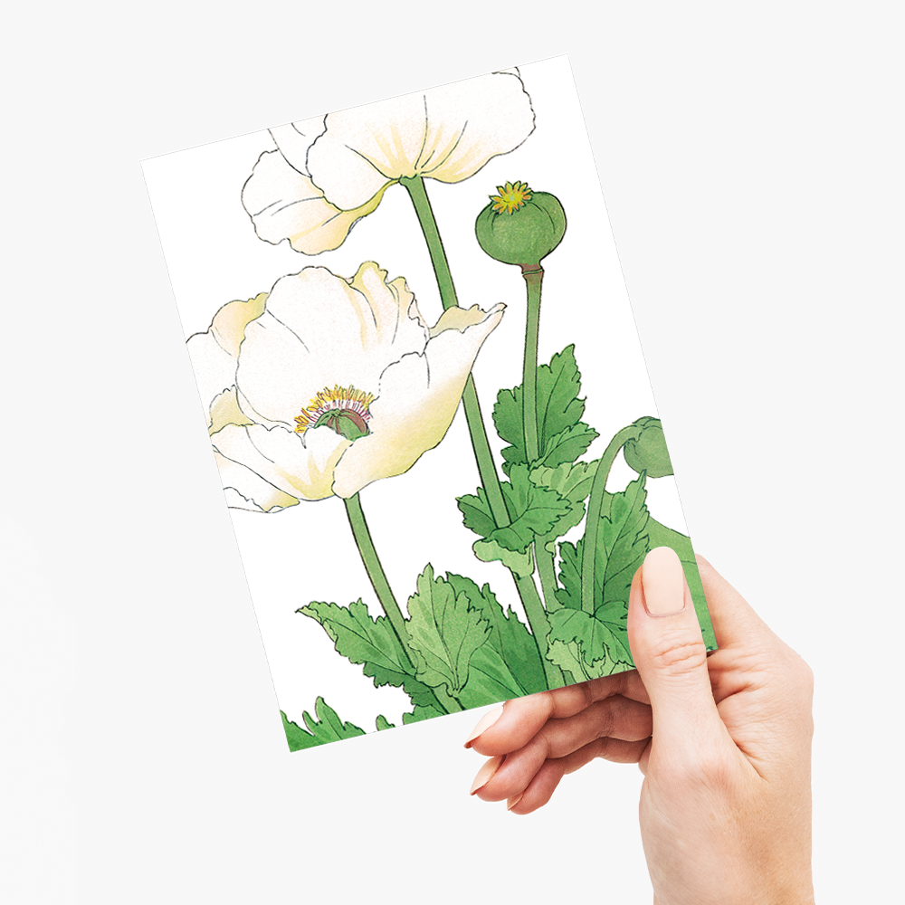 White Poppies By Tanigami Kônan - Wenskaart