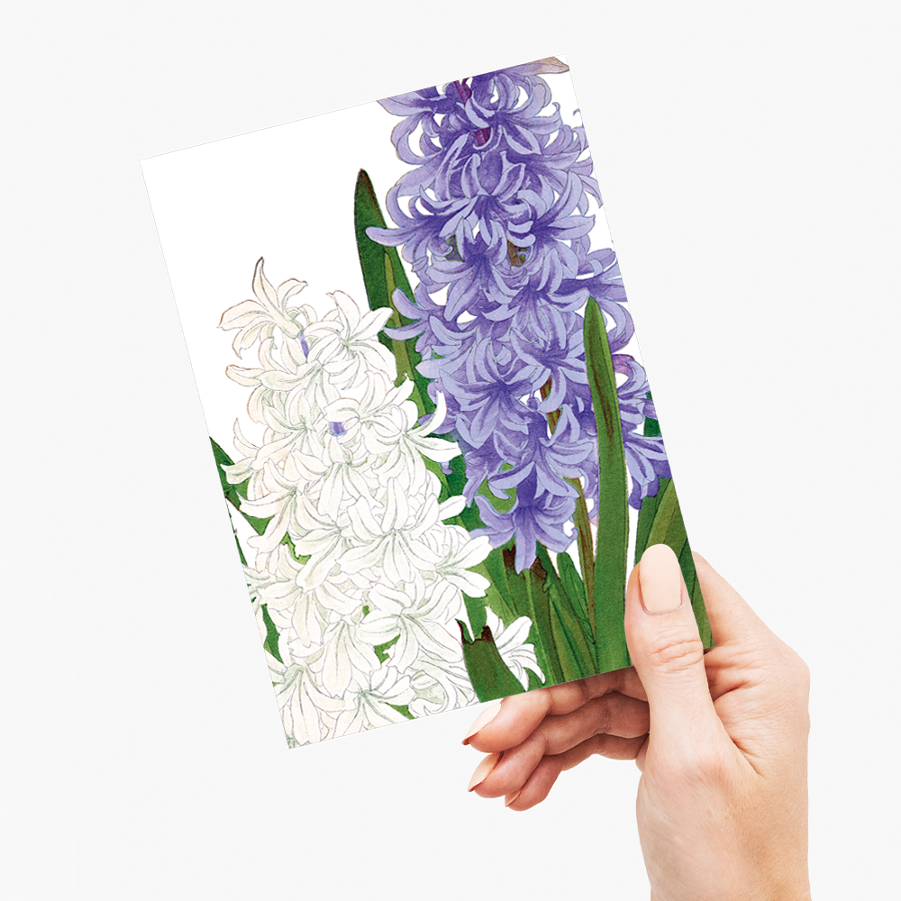 Hyacinthus By Tanigami Kônan - Wenskaart
