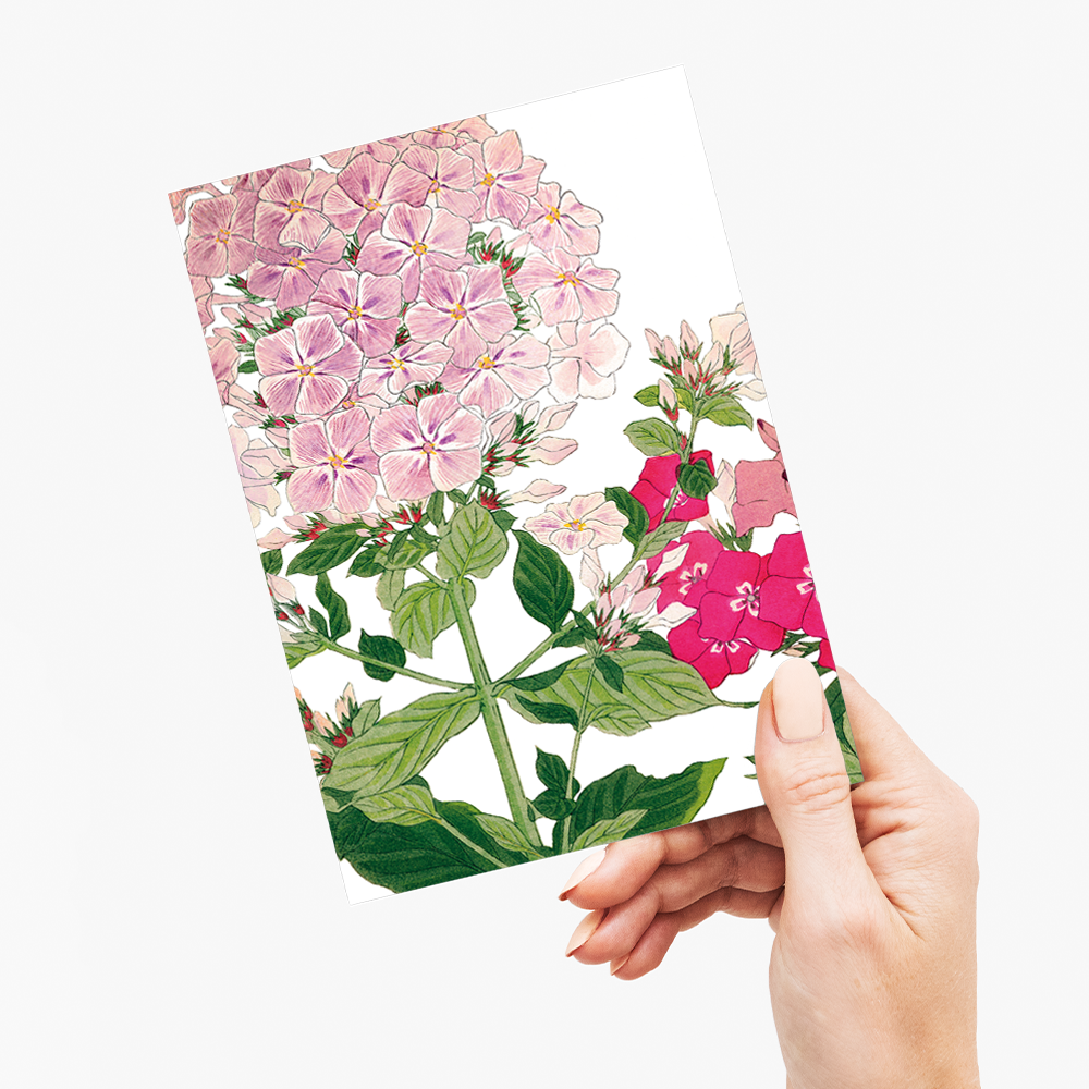 Phlox By Tanigami Kônan - Wenskaart