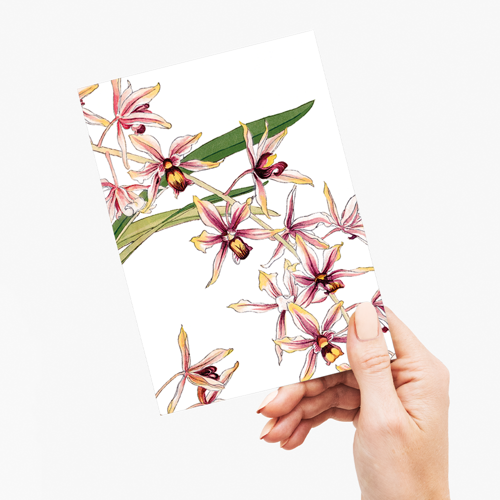 Cymbidium Orchid By Tanigami Kônan - Wenskaart