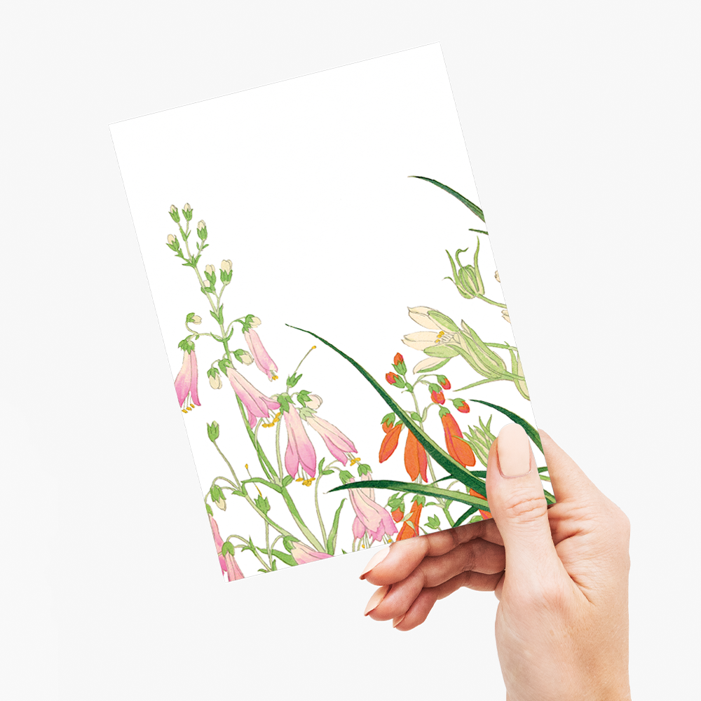 Ornithogalums By Tanigami Kônan - Wenskaart