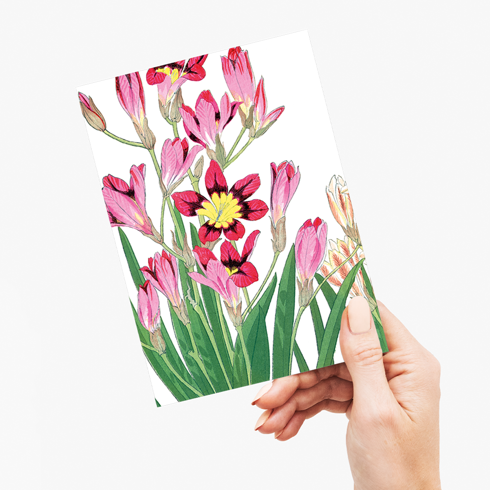 Ixia Flower By Tanigami Kônan - Wenskaart