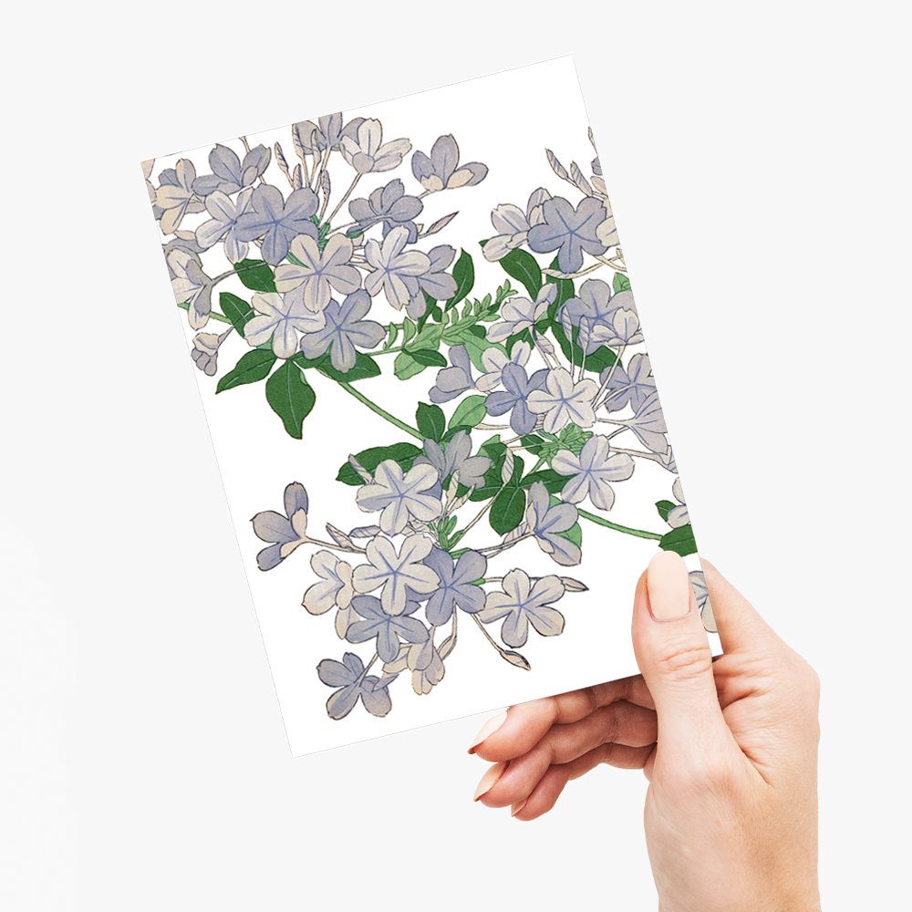 Plumbago By Tanigami Kônan - Wenskaart
