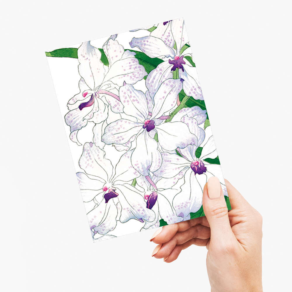 Orchid By Tanigami Kônan - Wenskaart