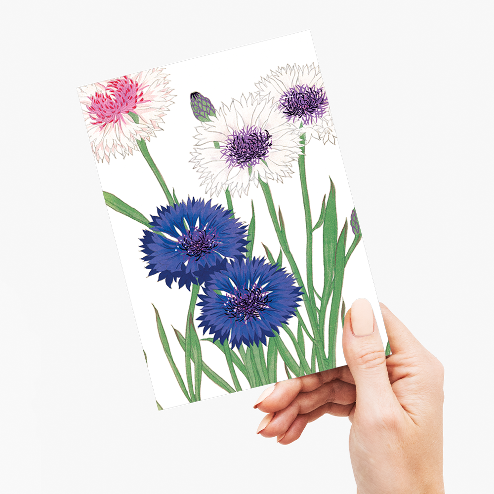 Cornflower By Tanigami Kônan - Wenskaart