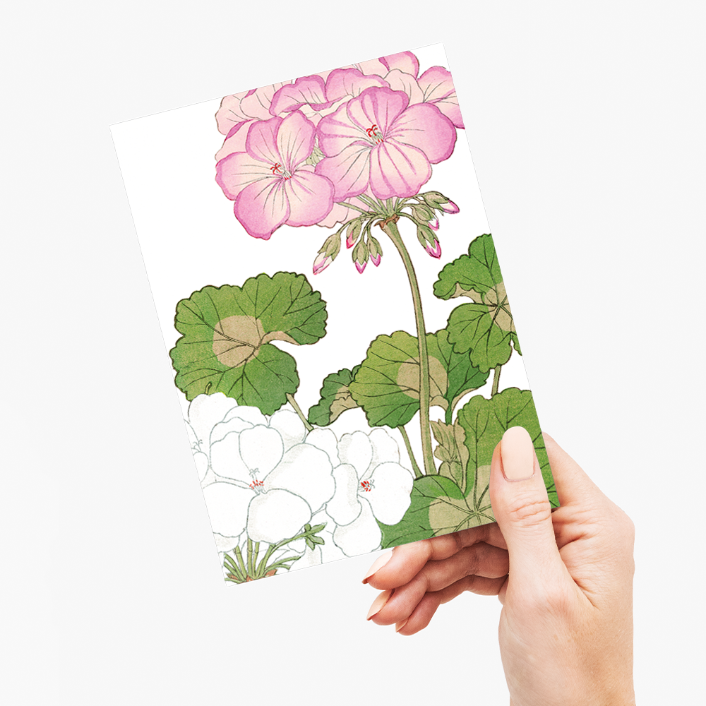 White & Pink Geranium By Tanigami Kônan - Wenskaart