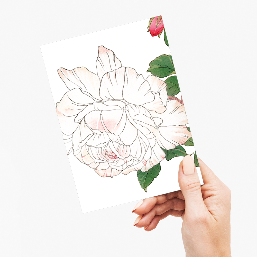 White Rose By Tanigami Kônan - Wenskaart