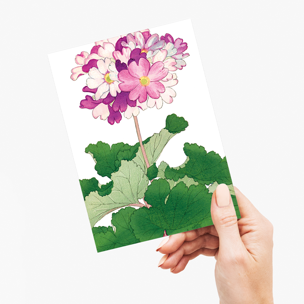 Primrose Flower By Tanigami Kônan - Wenskaart