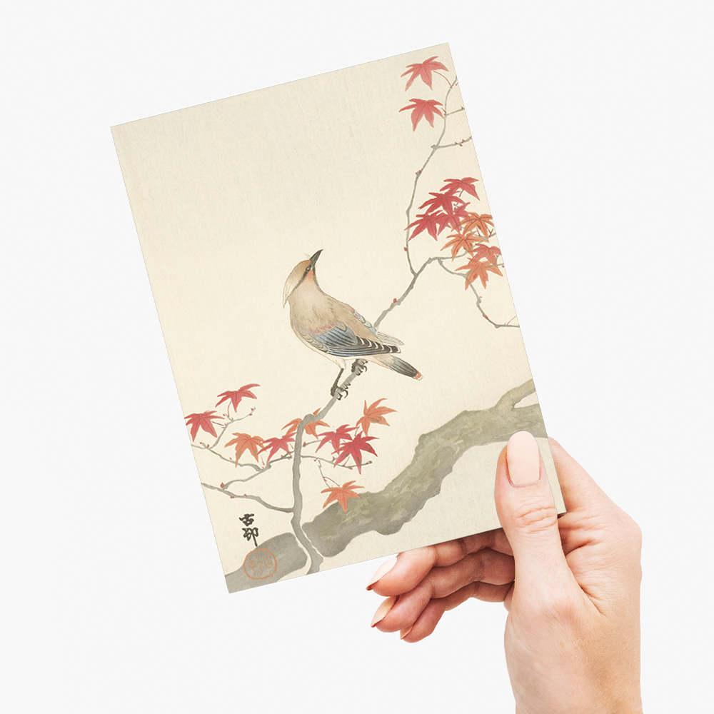 Japanese plague bird on maple By Ohara Koson - Greeting Card