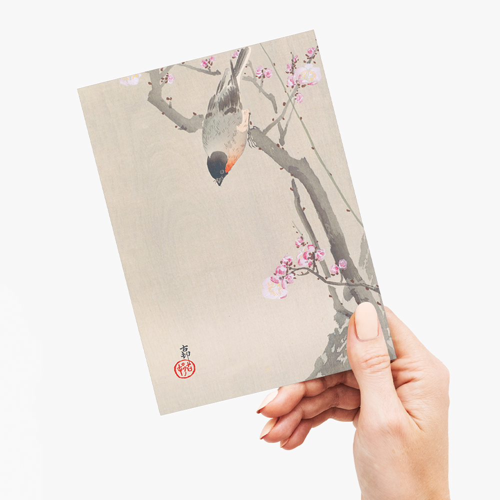 Bullfinch perched on a flowering plum tree By Ohara Koson - Greeting Card