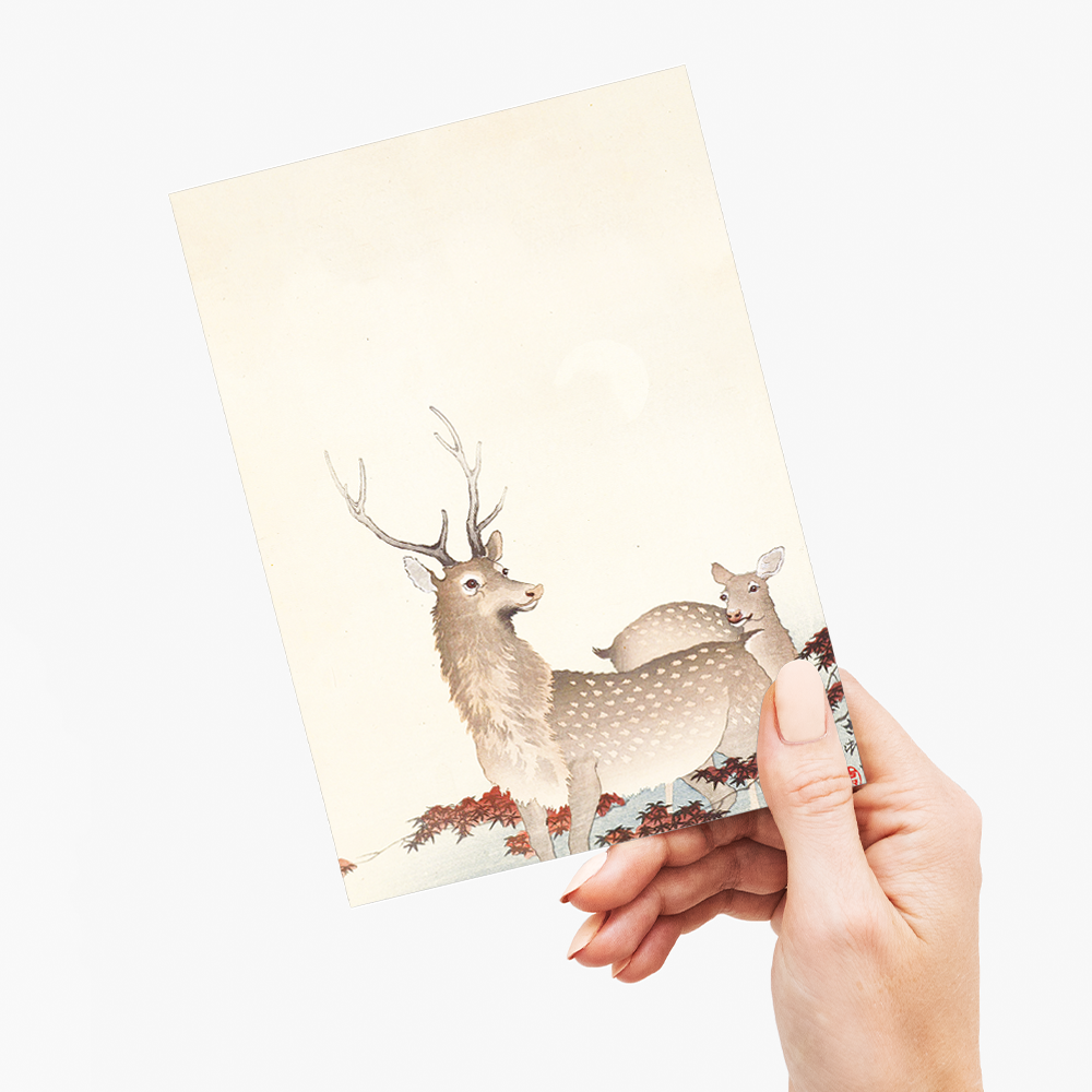 Couple of deers By Ohara Koson - Greeting Card