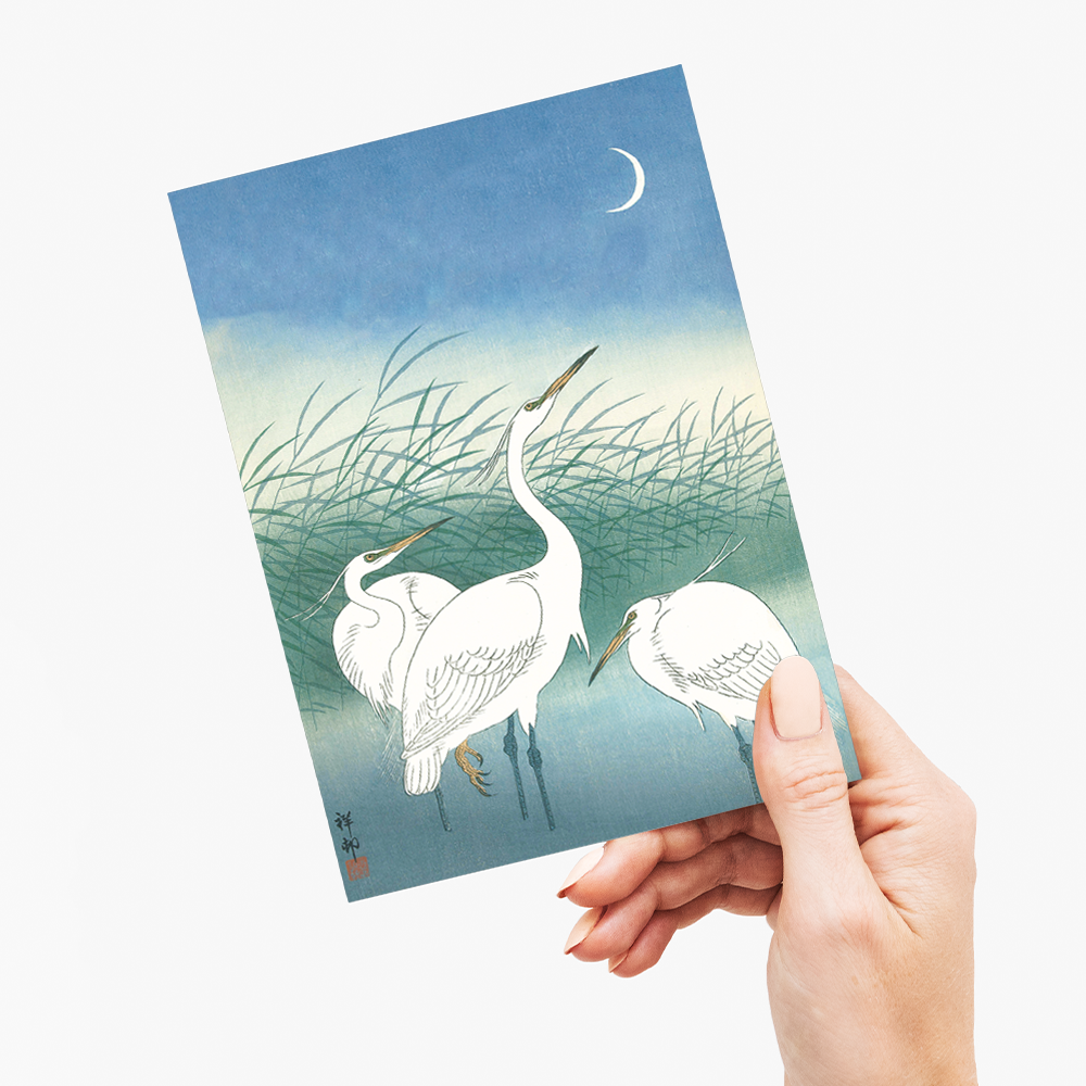 Herons in shallow water By Ohara Koson - Greeting Card